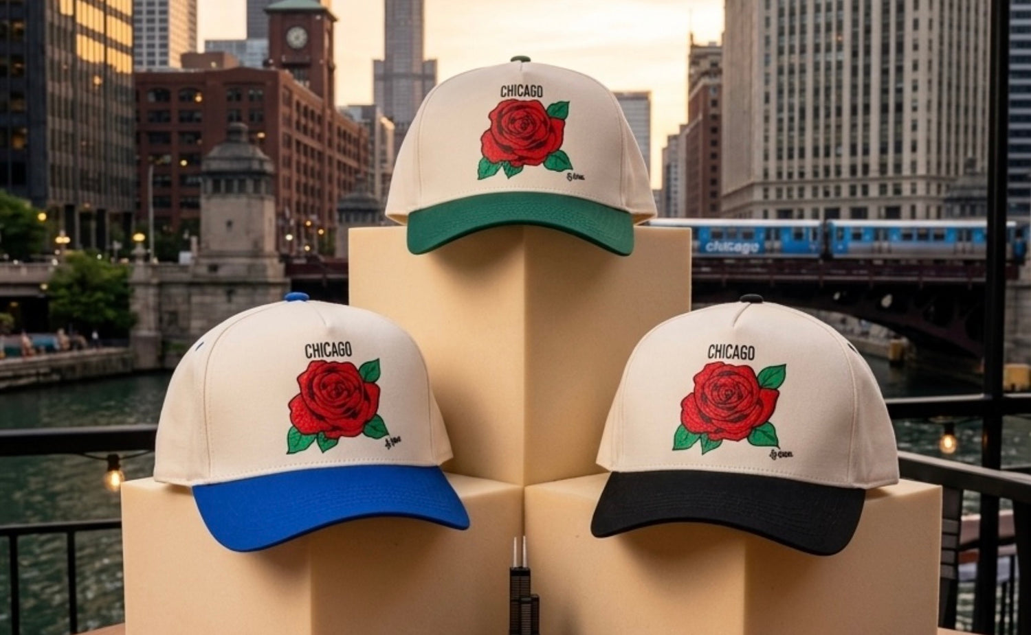 Chicago Rose Collection
