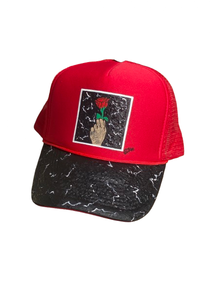 Grew From The Concrete D.Rose Retirement Collection